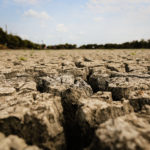 Reakce na výzvu premiéra Babiše regionálním samosprávám ohledně hospodaření s vodou